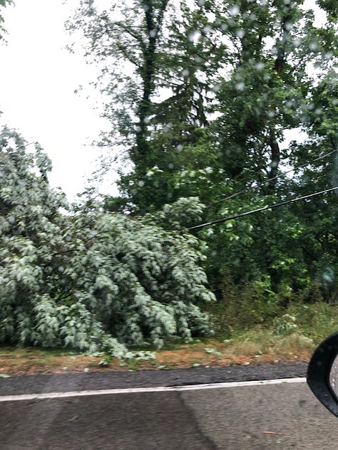 three images: 1) a weather map showing a storm cell over Pittsburgh, 2) a tree fallen on powerlines and 3) the dashboard of a car with a view out the windshield with a heavy storm outside