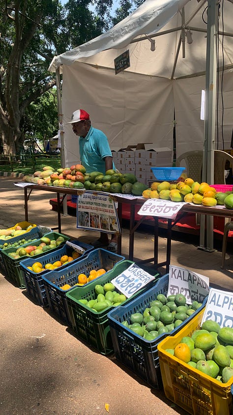 Mango market scenes