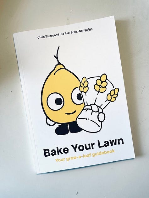 Three images of the book Bake Your Lawn by Chris Young with the cover and two inside pages