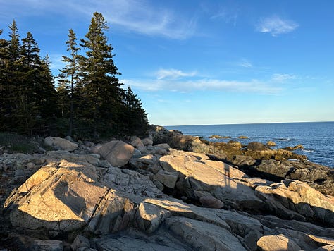 Scenic photos of the ocean and dogs