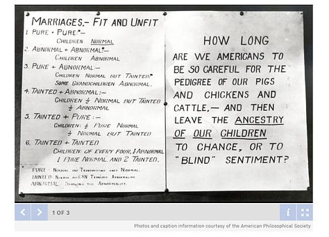 Eugenics and anti-miscegenation,1-4.... Manifest Destiny 6....Lebensraum 7,