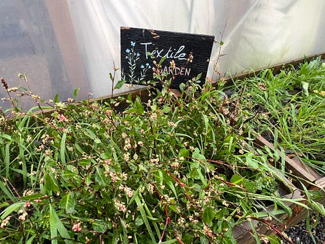 The Mobile Garden in Hackney Bridge, with planters and various crops, a polytunnel and signage saying "ALL WELCOME"