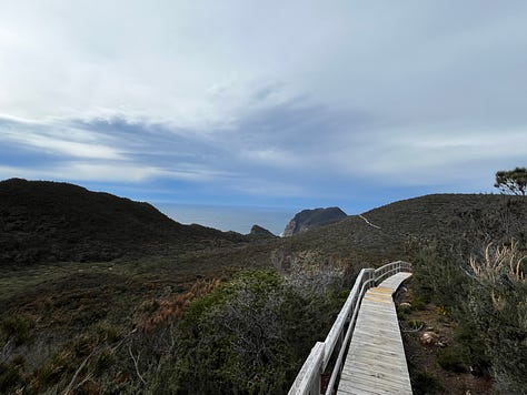 Pictures from Day three on the Three Capes Signature Walk in Tasmania