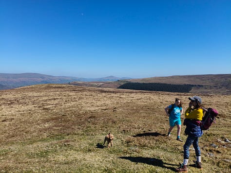 mountain scenery in Bannau Brychieniog Brecon Beacons on a sunny day