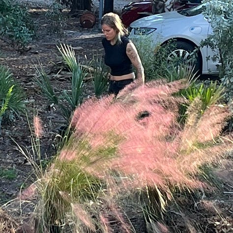 Zoe and Pete installing plants, including: saltbush and mangrove spider lily in the truck; palmettos, wax myrtles, and silver buttonwoods on the driveway; and pink muhly grass.