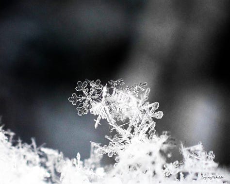 A gallery of images features three winter prints: stacked snowflakes, icicles, and a winter bubble.
