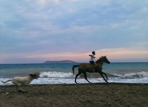 Aylin'in Bodrum'daki hayatından kareler