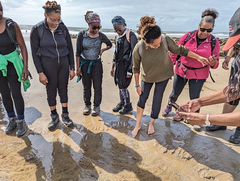 Guided beach day in wales