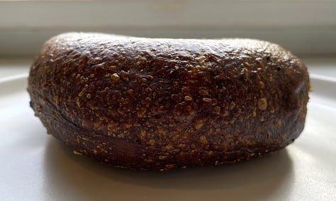 Bagel Oasis's pumpernickel bagel