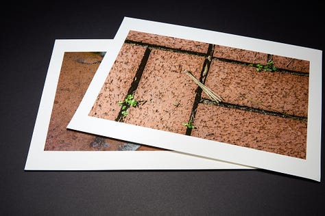 Sample photographic prints from a project
