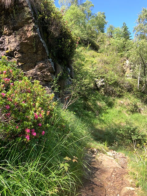 Oasi Zegna, mont Rubello and santuary S. Bernardo, Trivero (Biella, Italy)