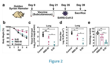 Highly Effective COVID-19 Vaccine Using Linked Immunodominant Linear Peptides from SARS-CoV2