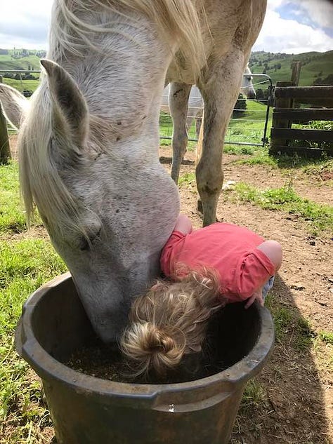 Omen sharing his dinner with Alaska.