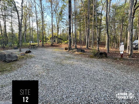 Morganton Point Campsites