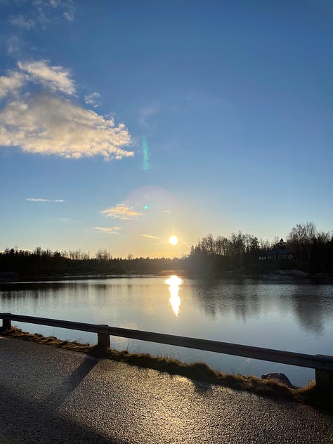 Differing angles of blue sky and water in winter, with some some rocks, houses, wintery trees and sun