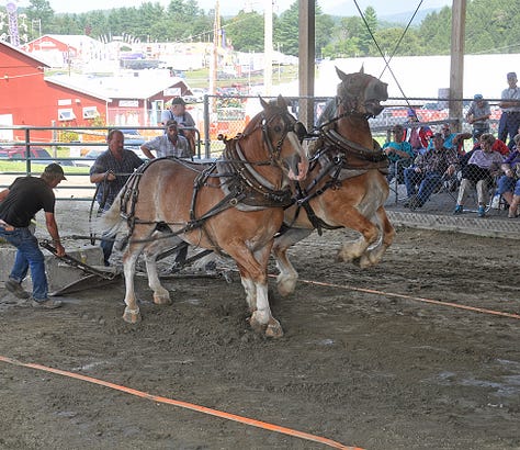 Nine photos from a fair. A closeup of the hand of a quilter; a man and a boy with blue sunglasses in front of a ride; a smiling face; human feet walking behind horses with dust; horse feet; men pulling hard on their horeseteam; horse team leaping out to pull weighted sled. two oxen standing in the sun; a young girl trying to wrestle one of the oxen on her team