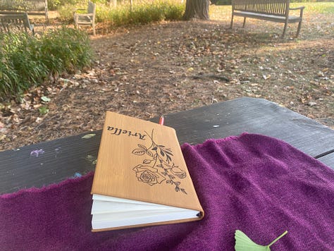 a woman walks into a meadow of trees turning colors, 5 women stand together under a tall tree, a candle and brystals, a hournal on a picnic table, a woman writing in her journal, falling leaves