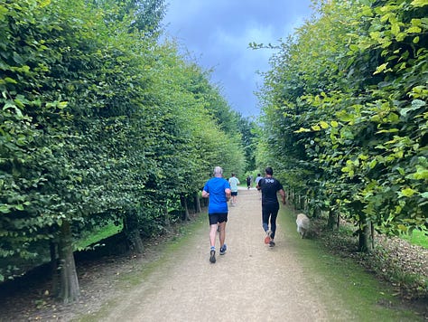 Running through different tree-lined paths