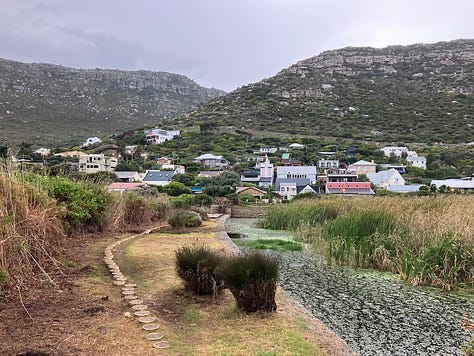 View of the mountains behind a nature reserve, and two images of Fish Hoek beach, with mountain behind