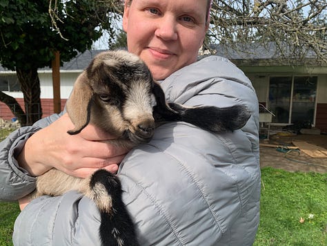 Love with a baby goat; volunteer goth chicken and devil goat, whi we sometimes fed through the window.