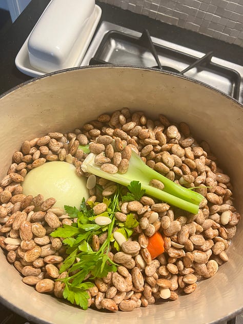 Beans in a pot with celery, carrots and onion to be cooked