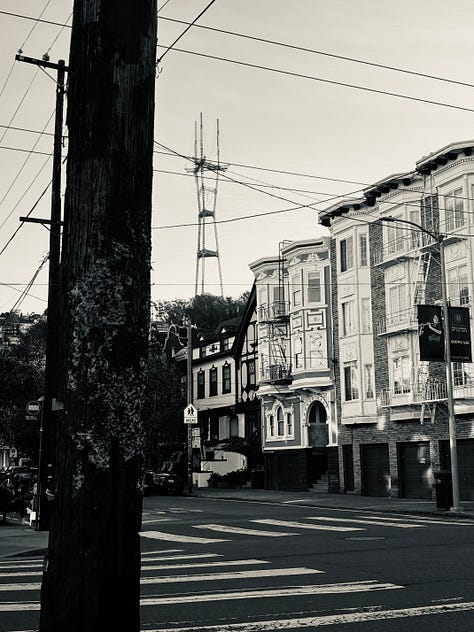 Photos of a tree, a city view of sutro tower, and a cat sculpture