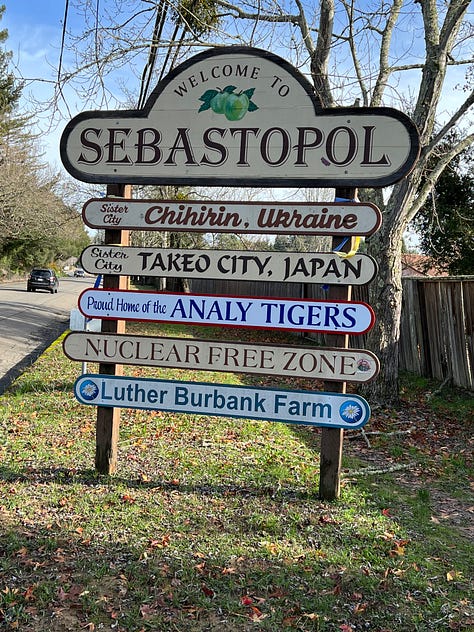 City of Sebastopol entrance with Analy Tigers sign