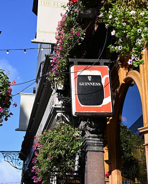 dublin's frank's wine bar, forty foot, all the pubs, howth, king sitric seafood bar + malahide