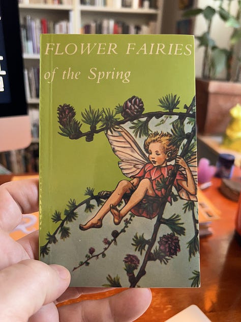 A small book of flower fairies. 