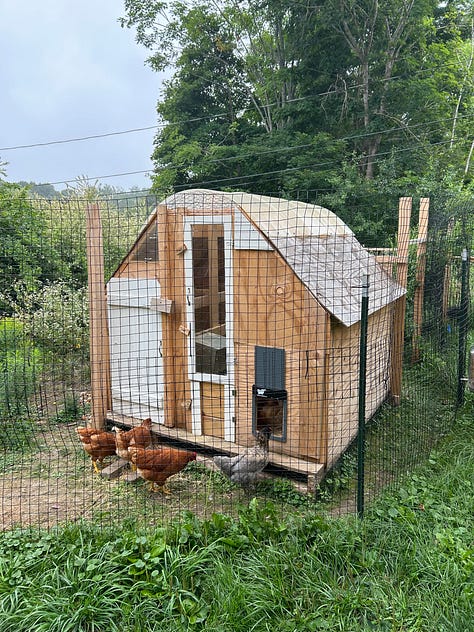 diy, back yard farming, composting, bathroom makeover, cleaning, organizing, gardening, permaculture
