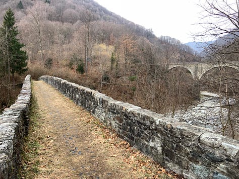 Old footbridge near Barattina, VC, Italy, and the first flowers of this year