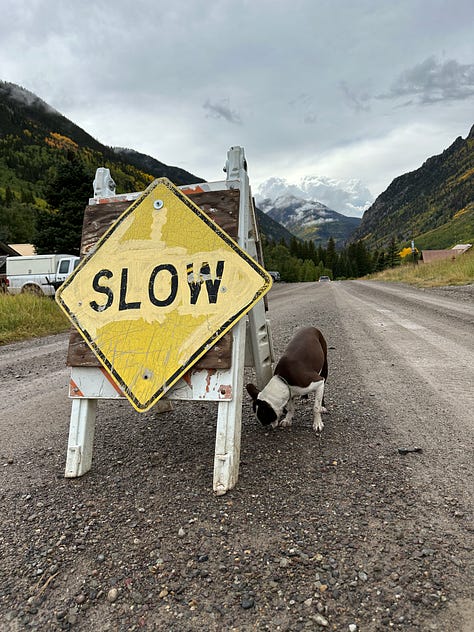 various handmade signs telling you to slow down