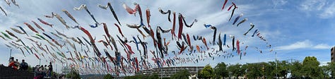 All different photos of Japanese koi fish kites