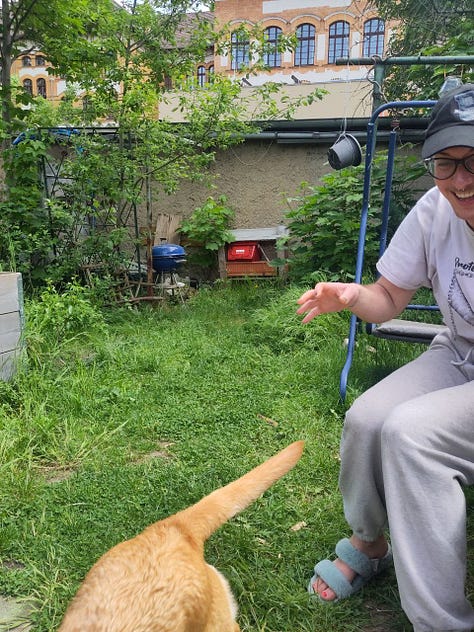 nine photos of a person in grey sweatpants and a dog. the dog is trying to jump and eat a cucumber from the person's hand