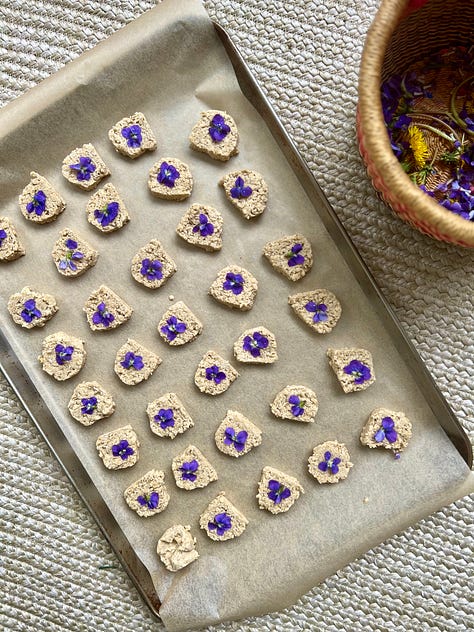 Cookies pressed with wild violets, basket of wild violets and dandelions