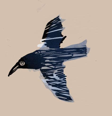 Hand drawn Bird patterns black lines on blue background