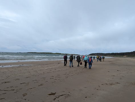 anglesey tour of lighthouses and beaches