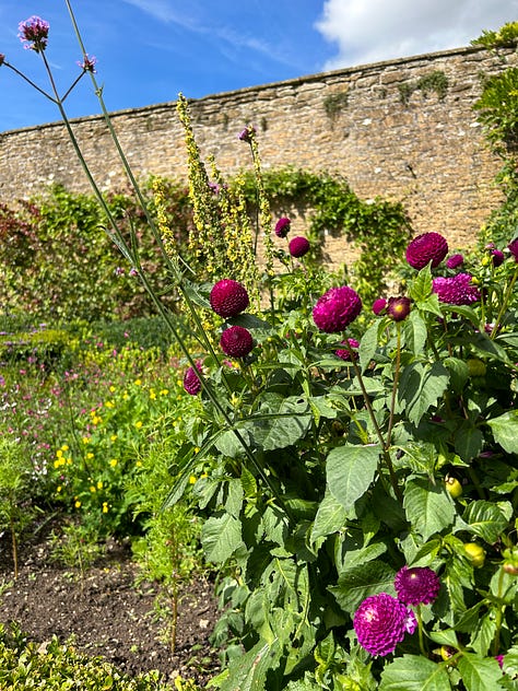 Photos of some of the flowers at Corsham Court. Images: Roland's Travels