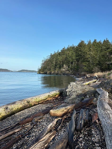 Trees, water, deer, sunrise - images of Pacific Northwest