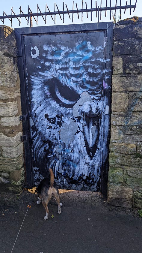 In the first image is a picture that's been hung up in my living room for a while that I sort of forgot about until owlgate started. The second is some local graffiti. My boyfriend thinks it's a parrot, however I follow some smart parrots on tiktok and their eyes are smaller. In the thirds image is a plastic owl guarding someone's doorway. There were actually two owls there, but the lady was washing up in the window, so I didn't want to intrude too much. The fourth house is literally the house next to the house in the third image. In the topmost window is what looks to be a snowy owl but with its back turned away from the window. It might not be an owl, but spiritually it may as well be. The fifth image is a small trinket in the house where I am dog sitting this week. I was trying to find the bathroom and I opened a door which was totally empty except for this owl on the shelf. Image the sixth is a jigsaw in a charity shop in the town of Witney. The image on the box is of nine different owls! The seventh image is in the same charity shop. A shelf dedicated to small owl trinkets. there are 6 owls on that shelf. In total I think there are 21 owls here. It's not okay.