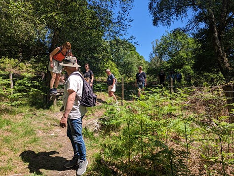 guided waterfall walk brecon beacons