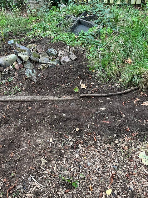 1. Lavender freshly-trimmed to help encourage new growth come spring; 2-3. The concrete posts revealed to reset the medicinal bed edging.