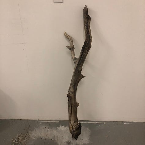 Three pictures of random driftwood.