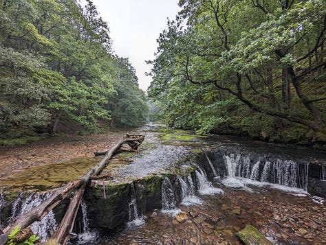 guided walk waterfalls brecon beacons