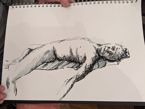 life drawings of nude male