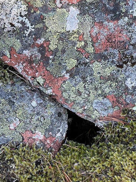 A lone rock in small cauldren, Åland; Lichen covered granite, close up on Åland; the water's edge all pebbles ans stones, Åland; A mountain of smooth stones, UK; wet, dark stones with one white quarz bit, Cornwall, UK; Piles of slate stone in St Nectan's Glen, Cornwall, UK