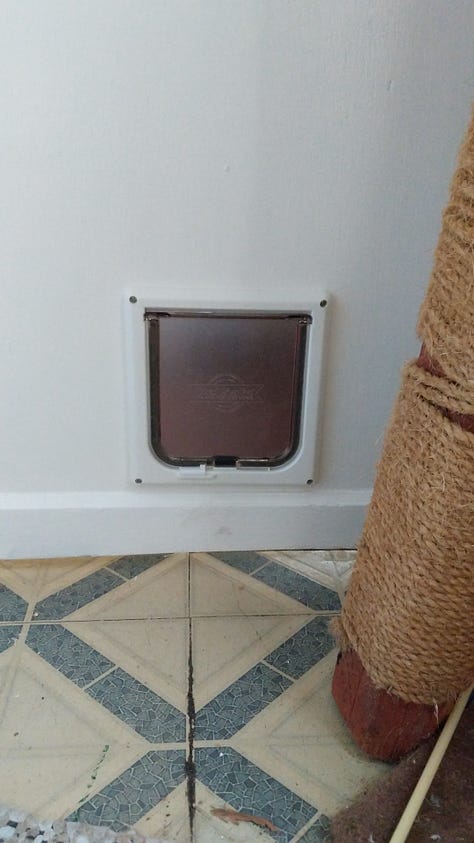 Using the cat door