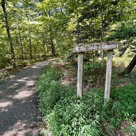 Three images show additional sites to visit while at Mammoth Cave. The first image features a black-top paved trail and a wooden sign indicating the Old Guide's Cemetery is ahead. The second image shows the murky Green River, with the park's ferry centered and ready to accept travelers. The final image is of Sloan's Crossing Pond, which is somewhat swampy; a tree branch frames the image.