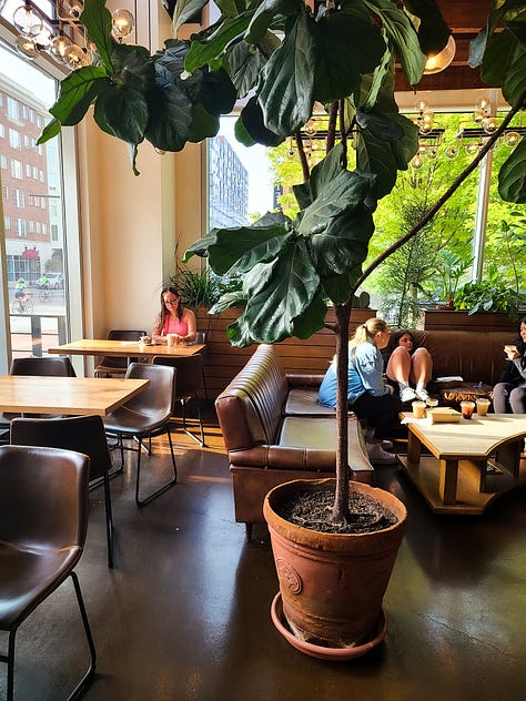 Parable Cafe interior vibes and seating options