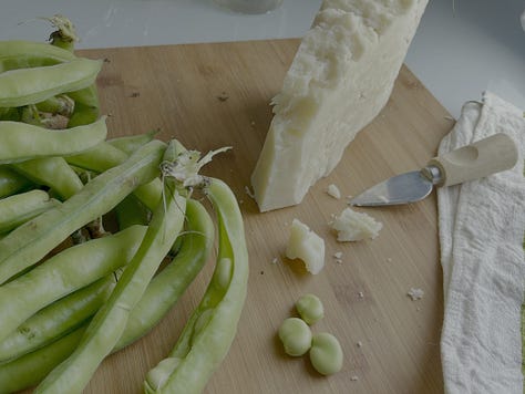 homemade lolli pasta, fresh fava beans, pecorino cheese